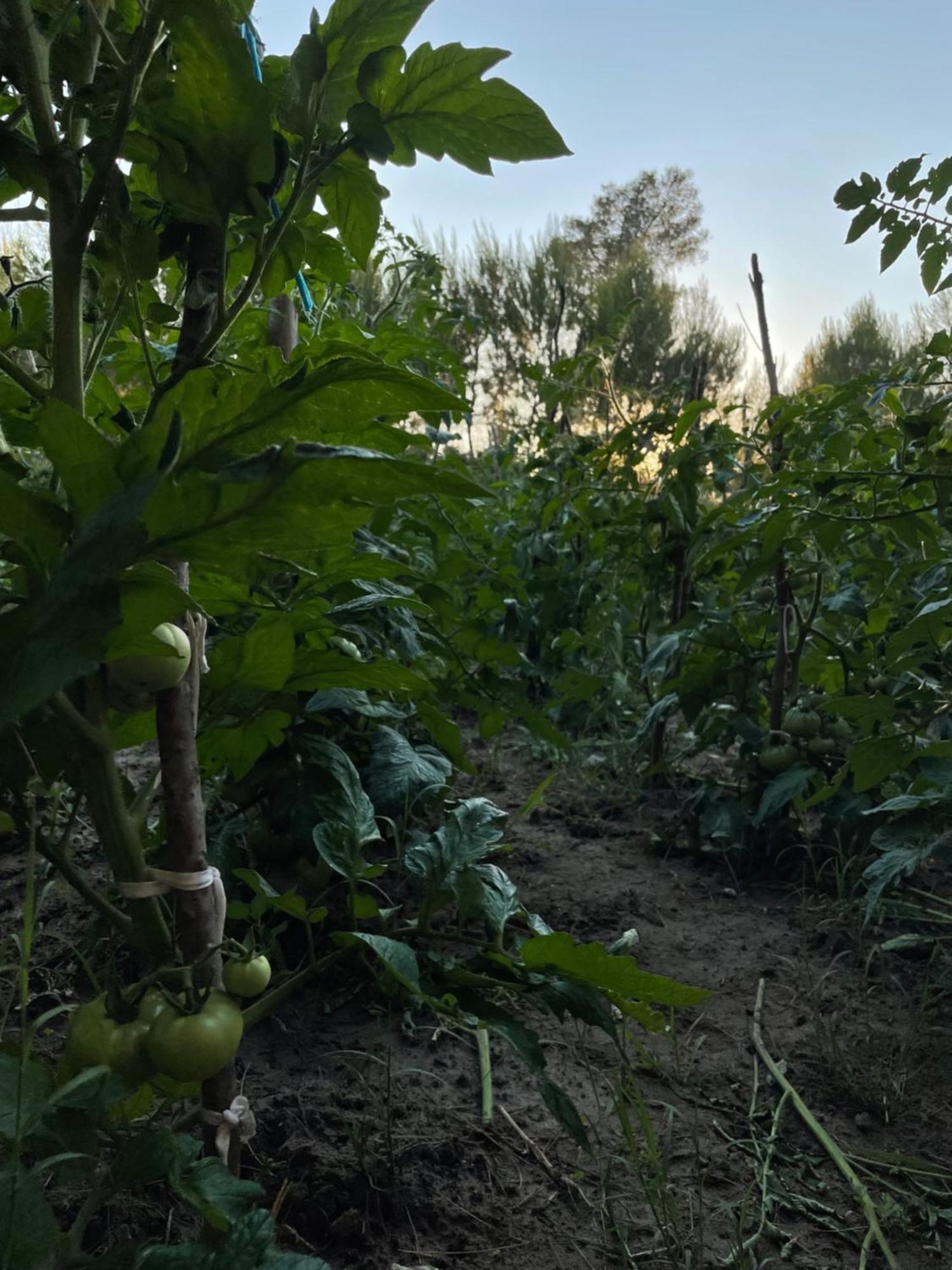 Agroturizem Eldi Hotel Fier Eksteriør billede